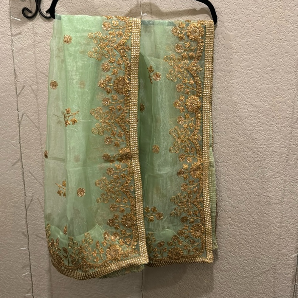 Pakistani/Indian style light green organza duppatta/chunni.
